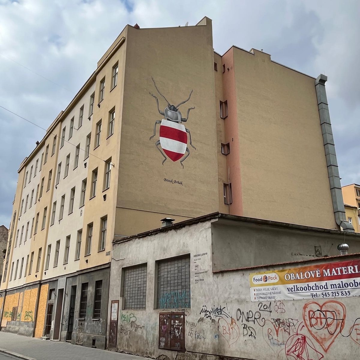 Brouk Brňák, TIMO, 2021