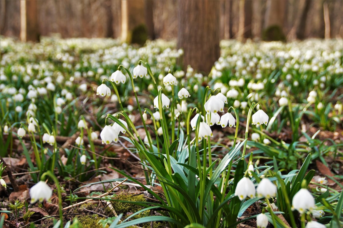 Objevte krásy Vysočiny