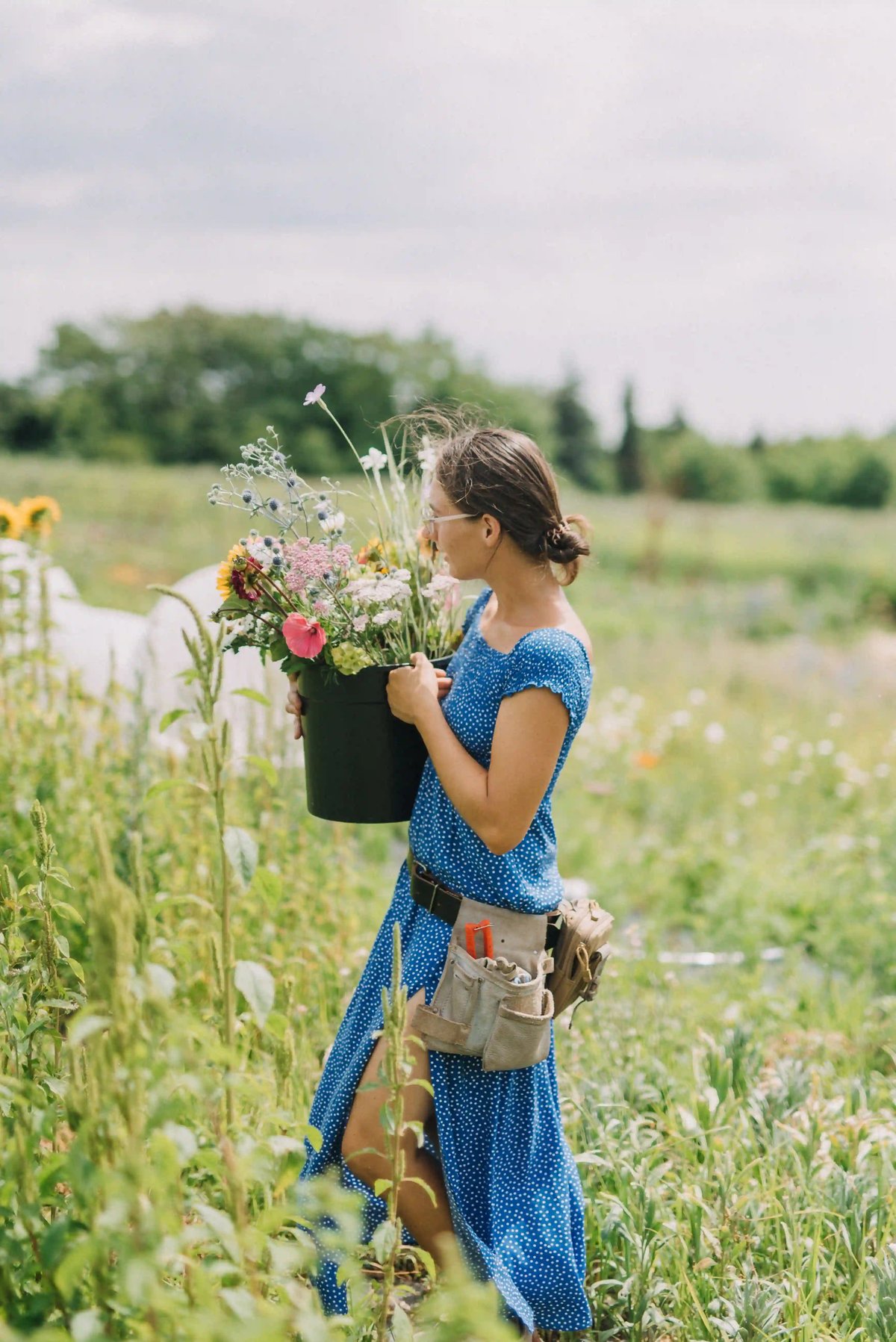 Zahradní kvítí Brno