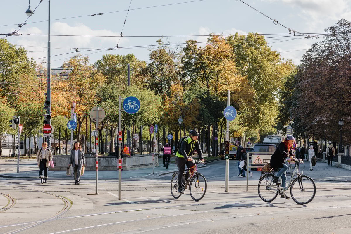 Cyklisté v centru Vídně
