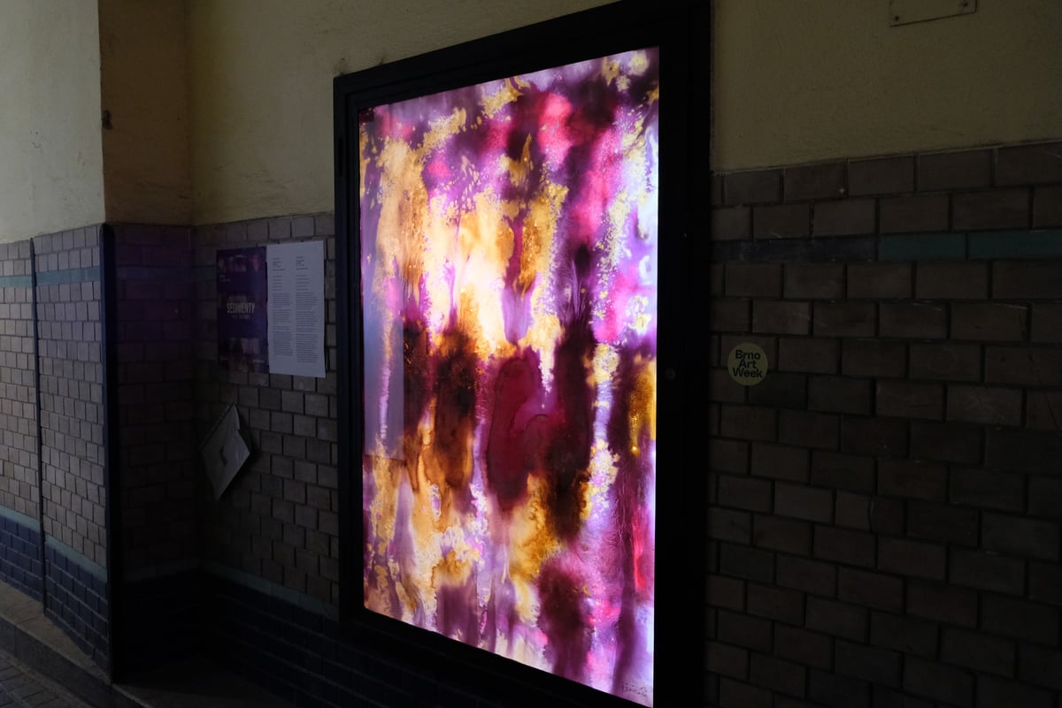 Výstava Sedimenty Kristíny Rambousek, 2023