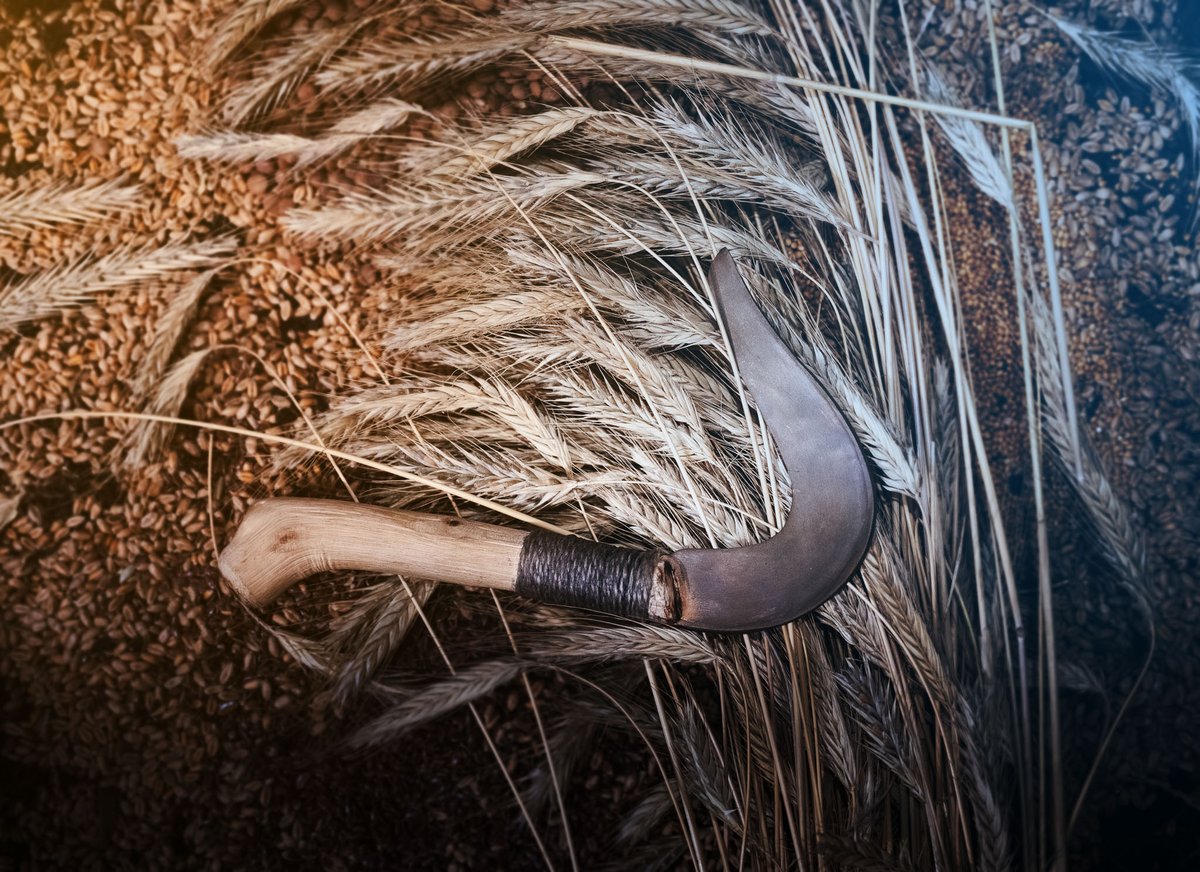 Vernisáž výstavy proběhne ve čtvrtek 23. října.