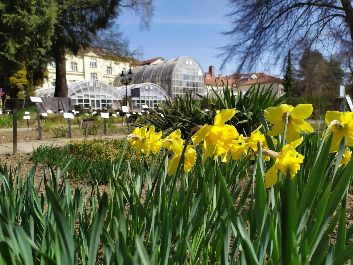  Botanická zahrada MUNI