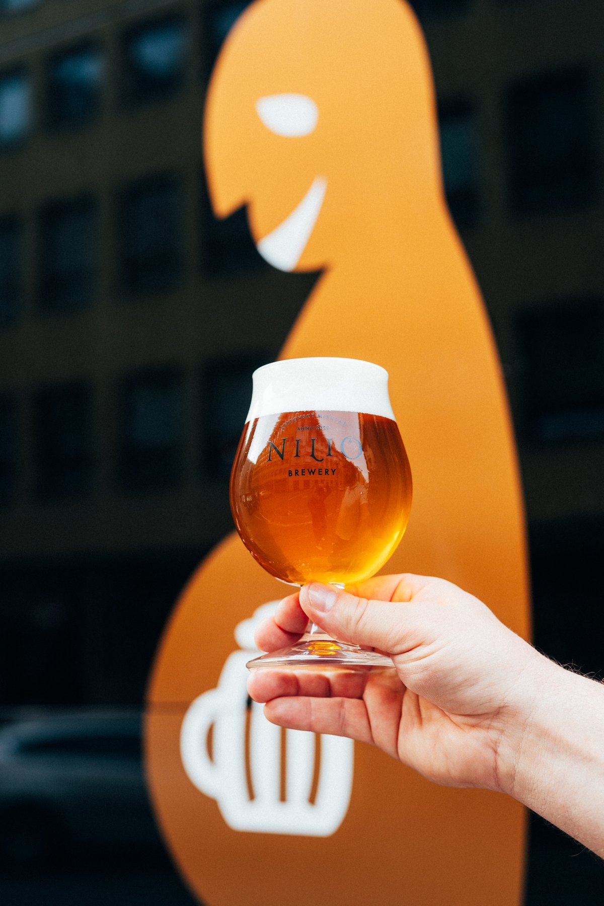 V Piváriu vám natočí jedno zrzavé od Nilia s pořádnou pěnou