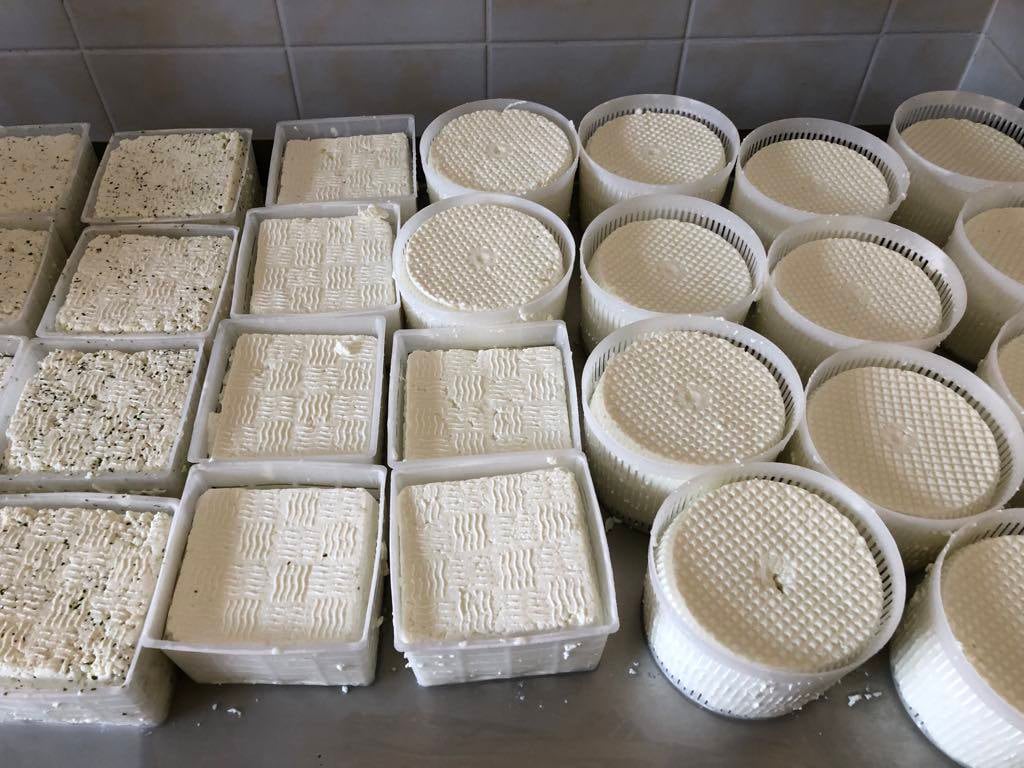 Sýrárna Maršovice