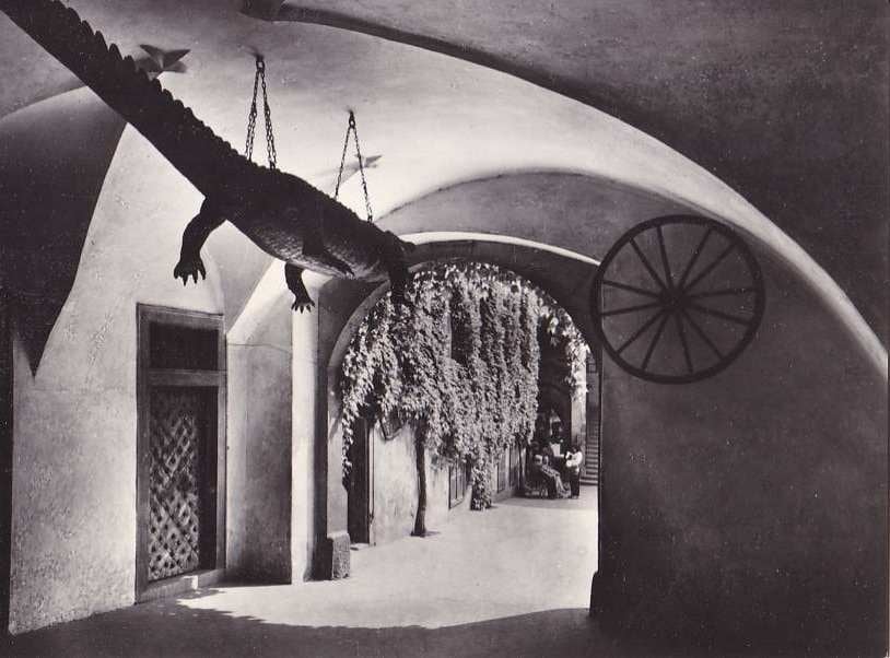 Brněnský drak na starých snímcích