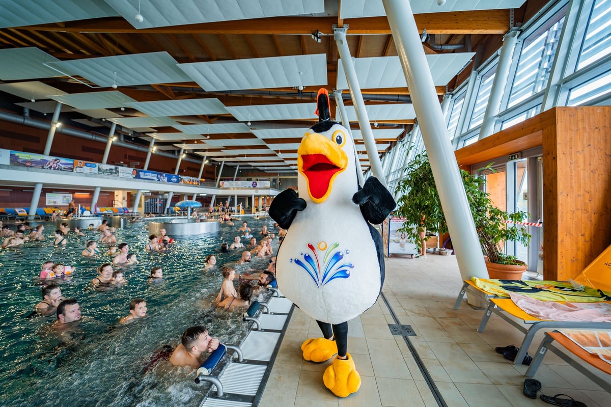 Zábavné animace pro malé i velké v Aqualand Moravia