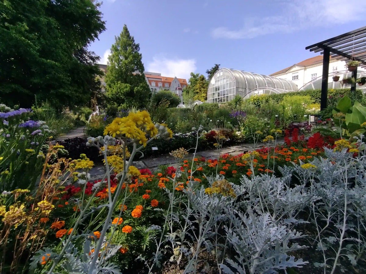  Botanická zahrada MUNI