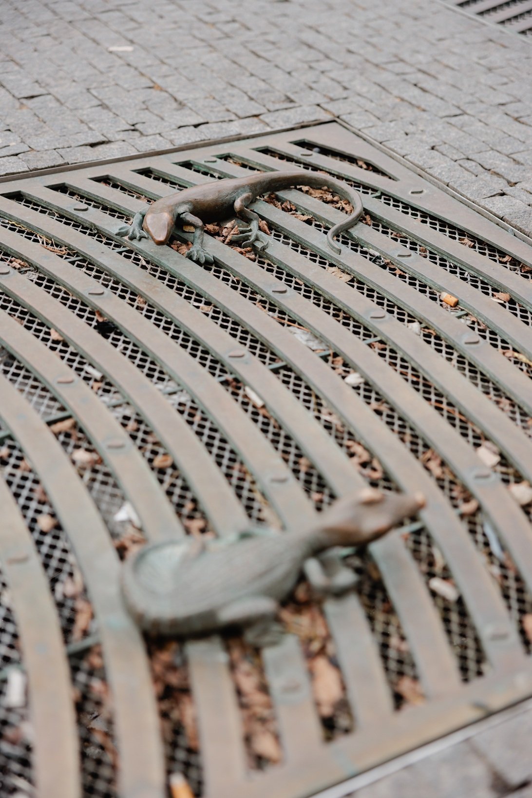 Sošky obojživelníků na Zelňáku