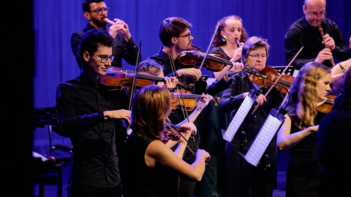 Roman Dragoun projekt