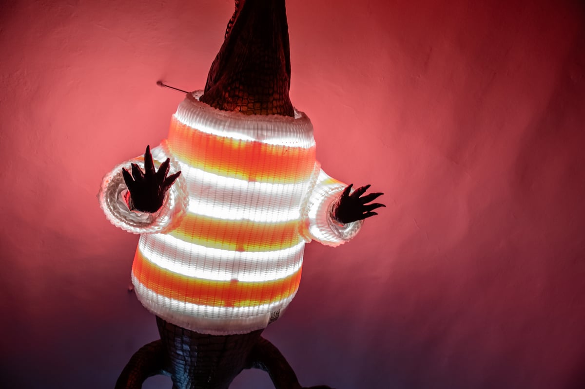 Brněnský drak ve vánočním svetru