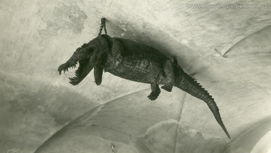 Brněnský drak na starých snímcích