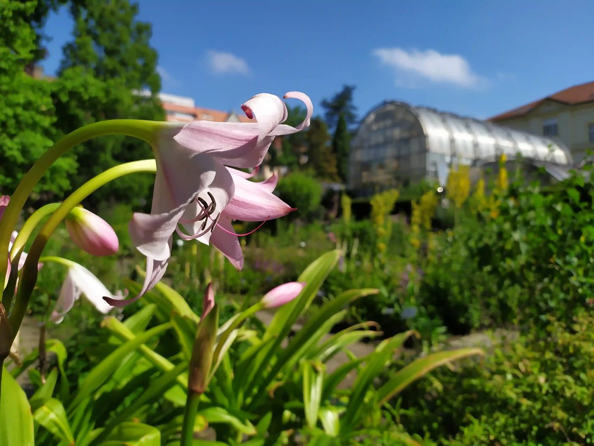  Botanická zahrada MUNI