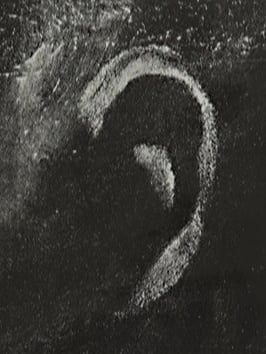 Otisk ucha odsouzeného a popraveného vraha Holuba.