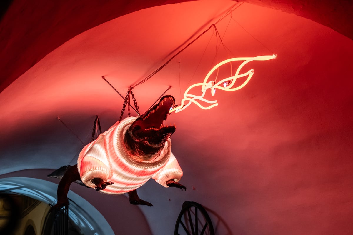 Brněnský drak ve vánočním svetru