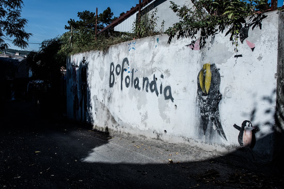 Ze života Kamenné kolonie.