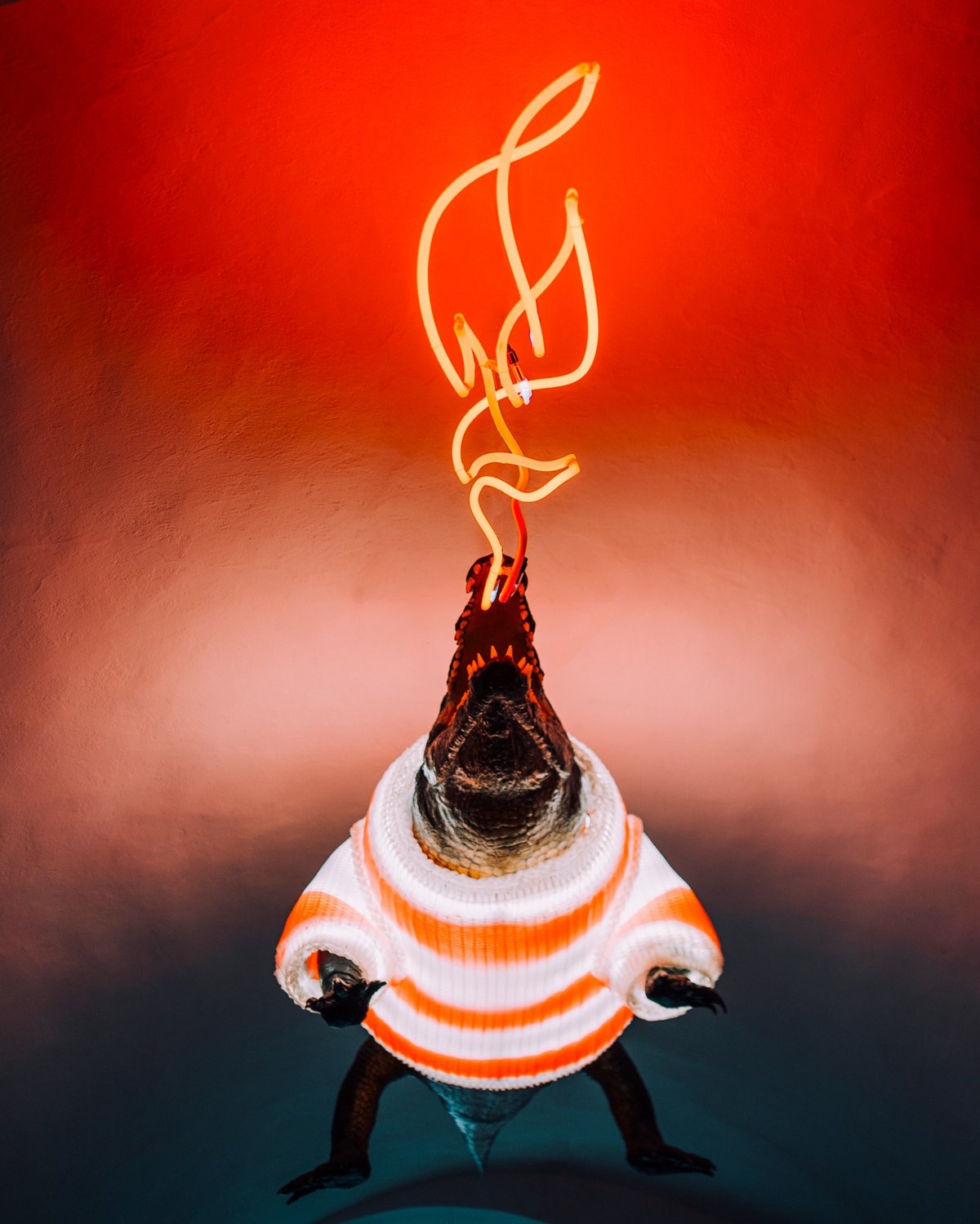 Letos nebude na brněnských Vánocích chybět oblíbený drak ve svetru.