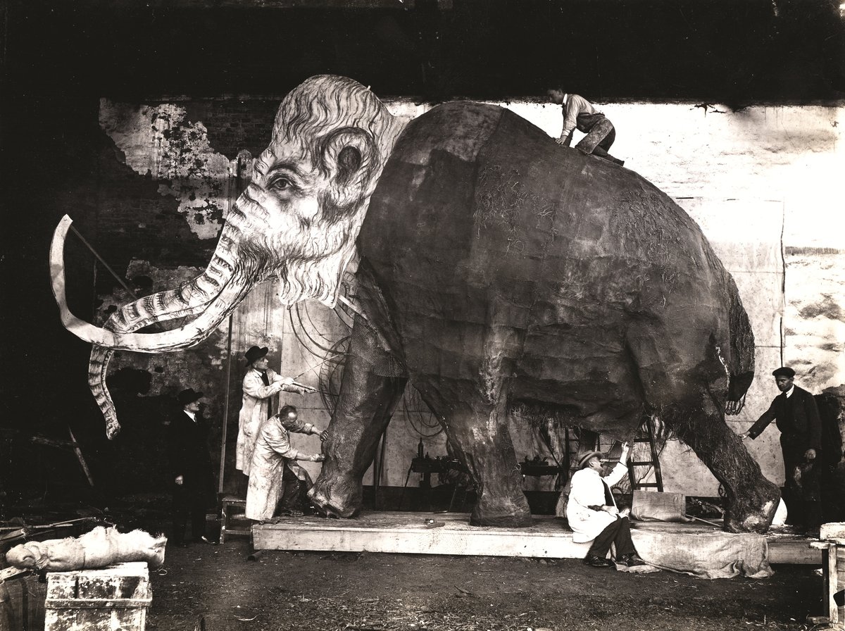 Stavba původního mamuta