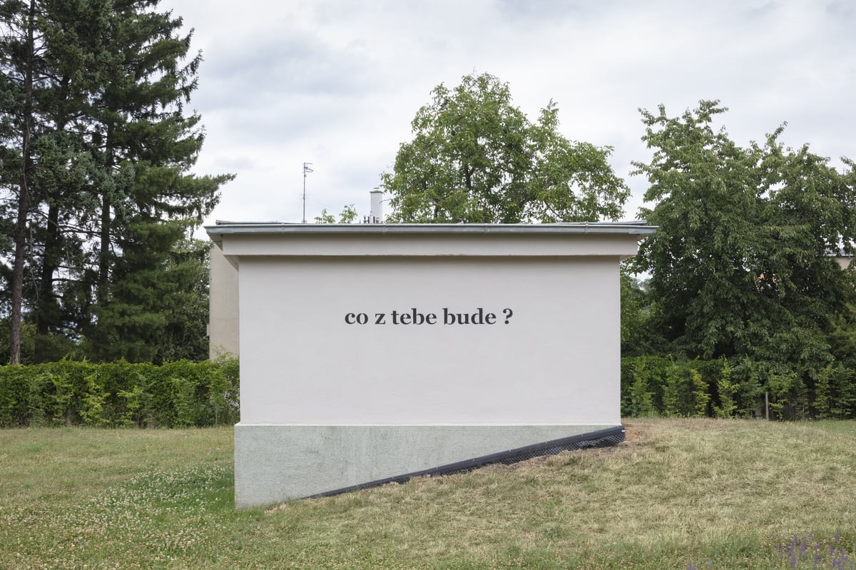 co z tebe bude?, TIMO, 2025