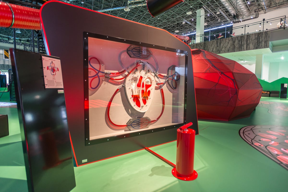 Nahlédněte do lidského srdce