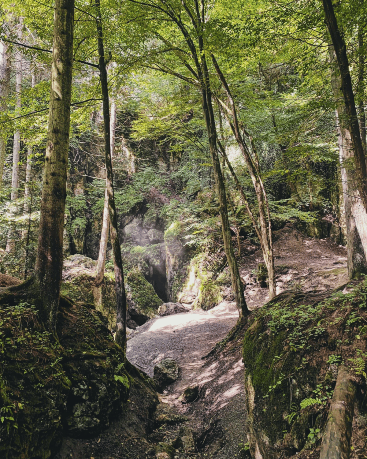 Rudické propadání