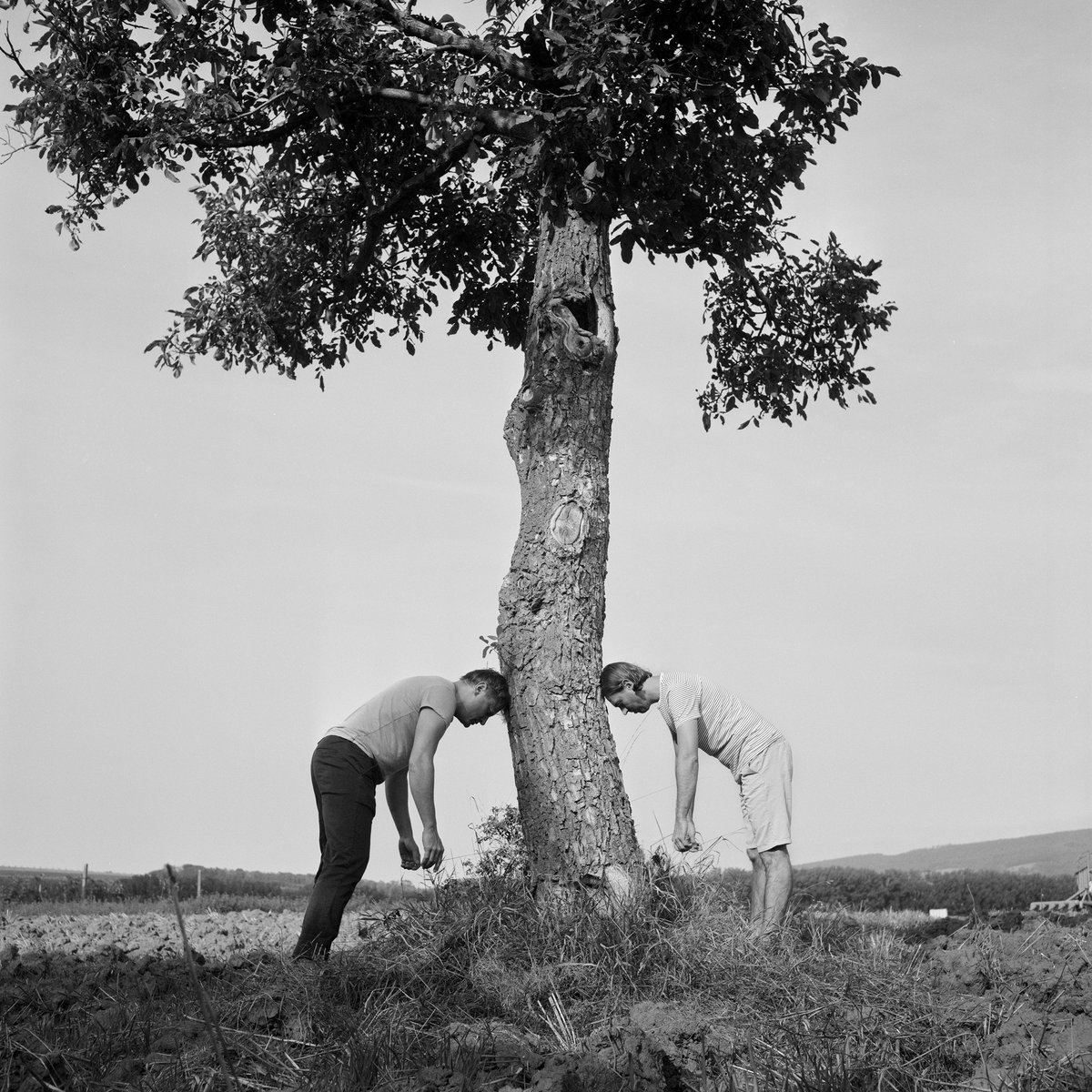 Hudební vyvrcholení večera obstará Hrubá Hudba.