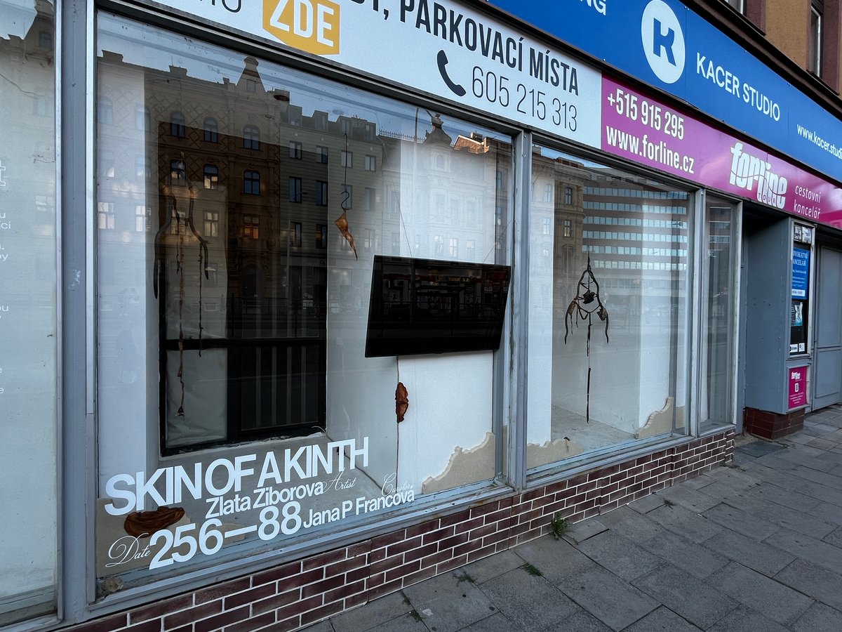 Aktuální výstava Skin of a Kinth Zlaty Ziborové