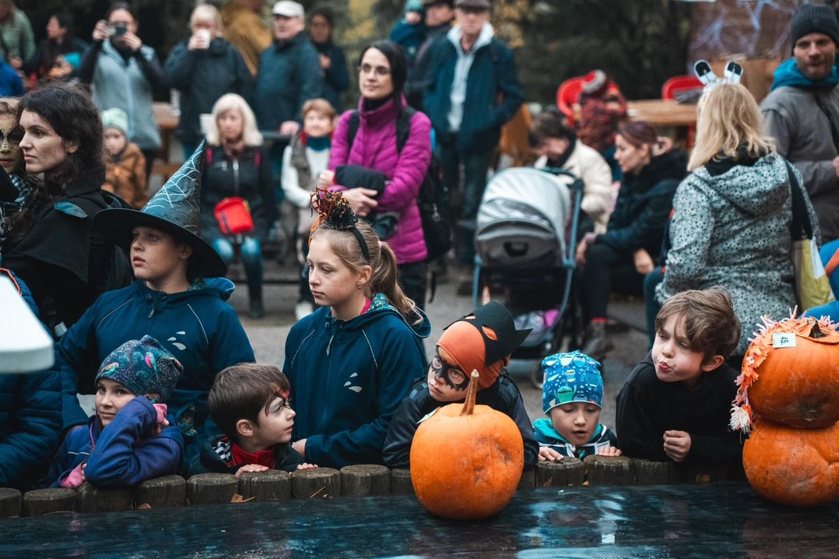 Haloween v brněnské zoo.