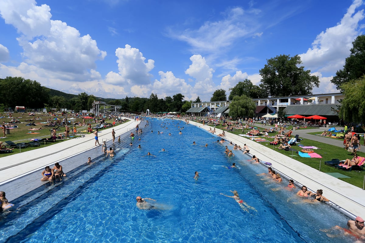 Nerezový bazén je obklopený zelení a travnatými plochami.