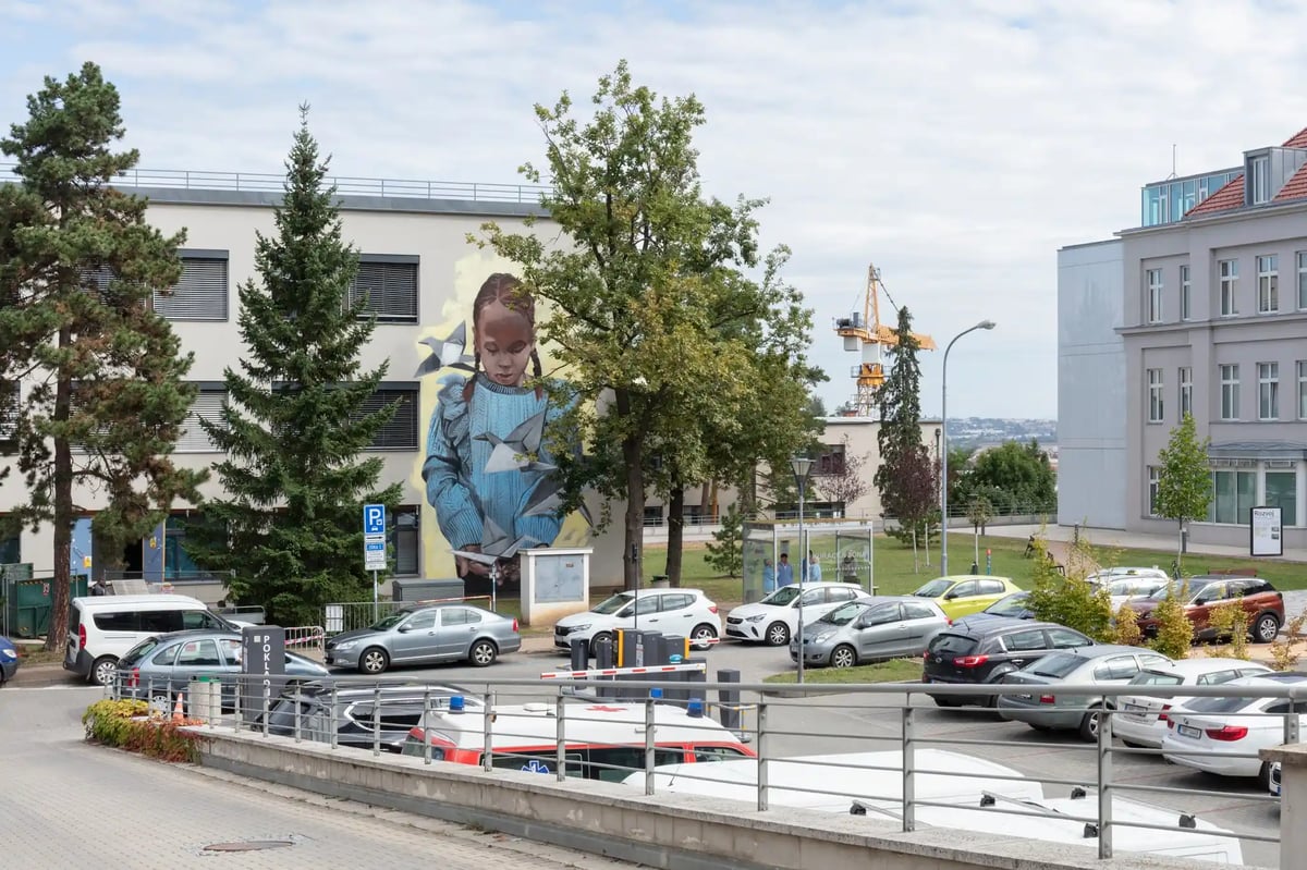 Tisíc jeřábů od Toyen