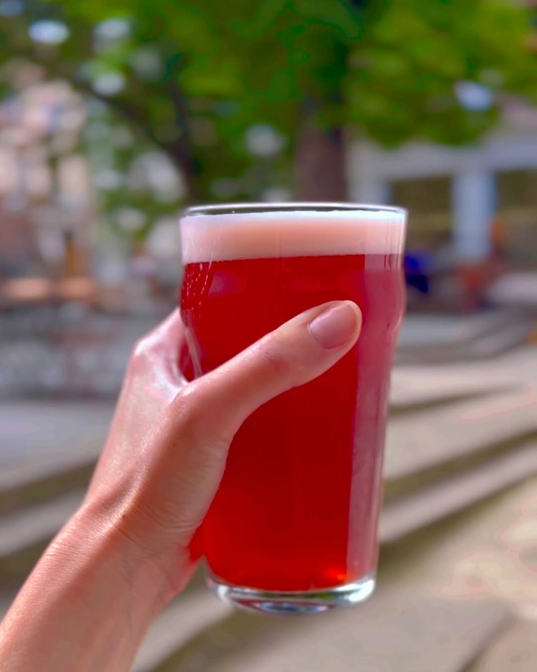 V menu mají také skvělé kyseláče