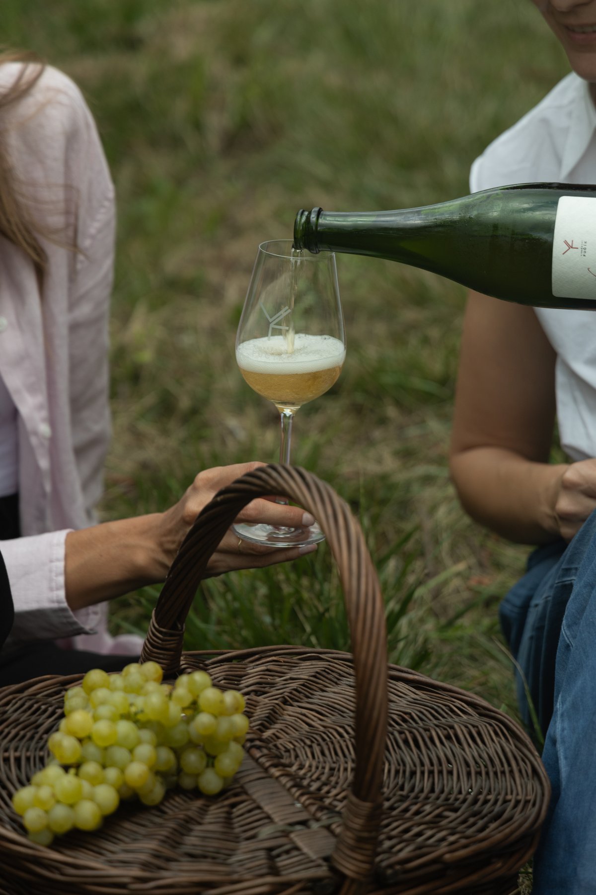 Vychutnejte si vybraná vína z vinařství Fučík mezi vinicemi