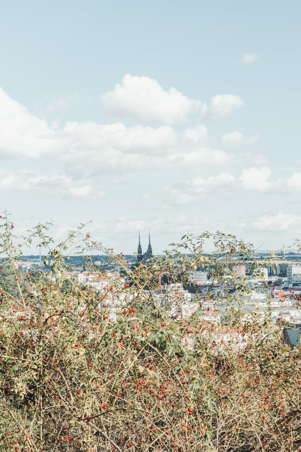 Vyhlídka ze Žlutého kopce