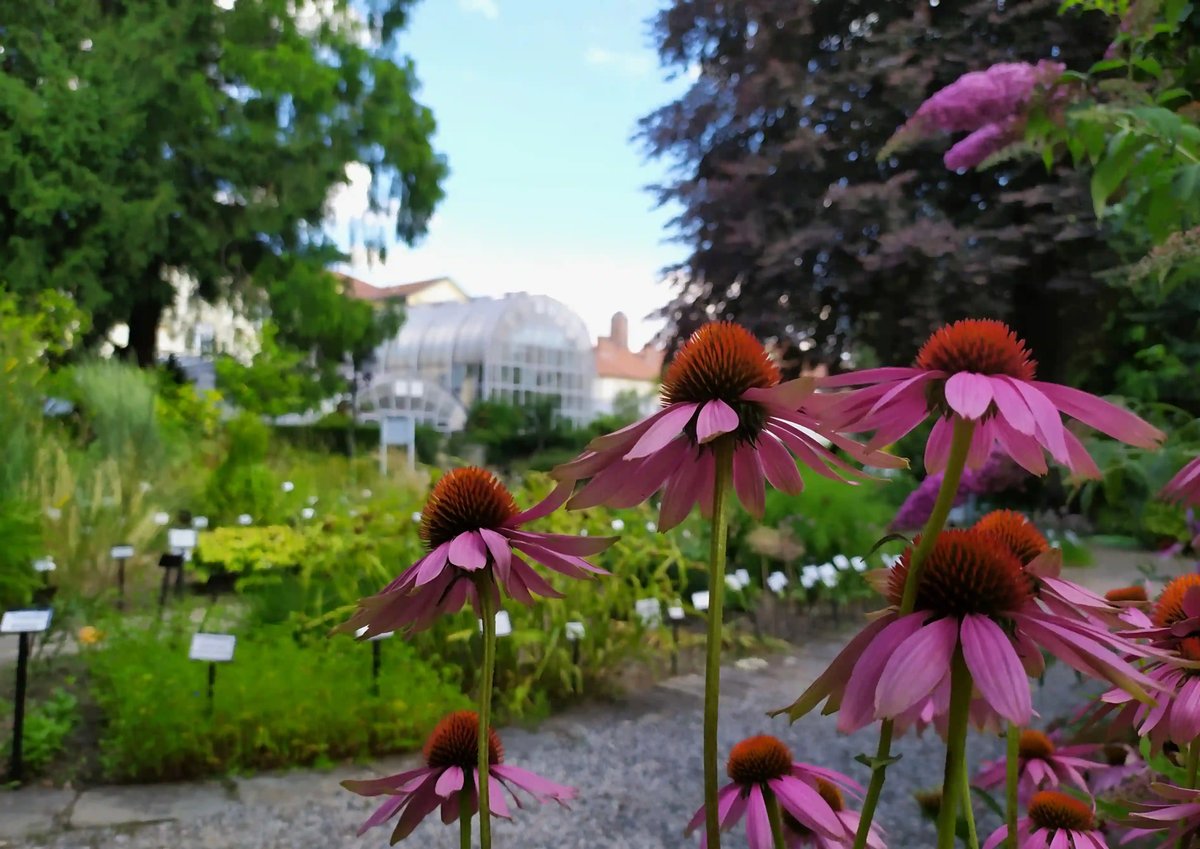  Botanická zahrada MUNI