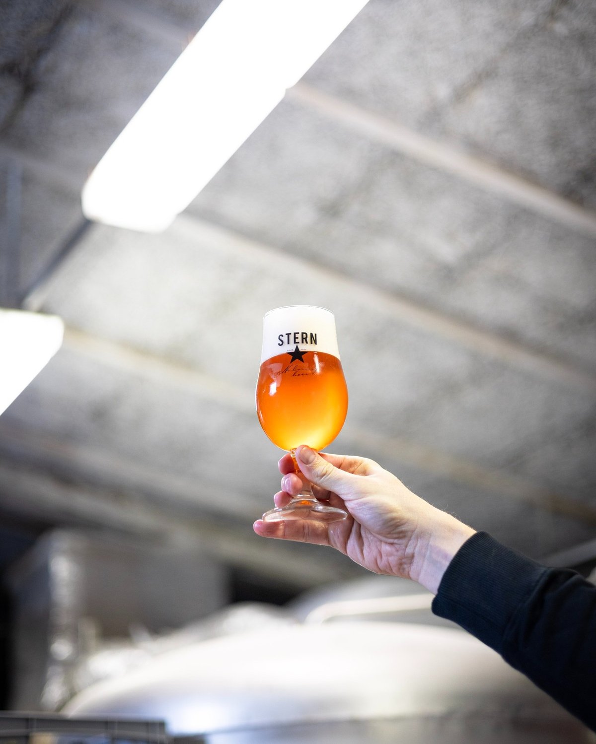 Speciály z Pivovaru Stern