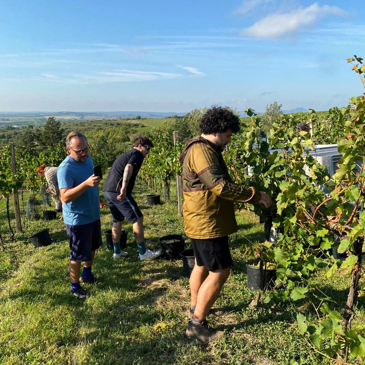 Do procesu sběru se občas zapojí celý tým