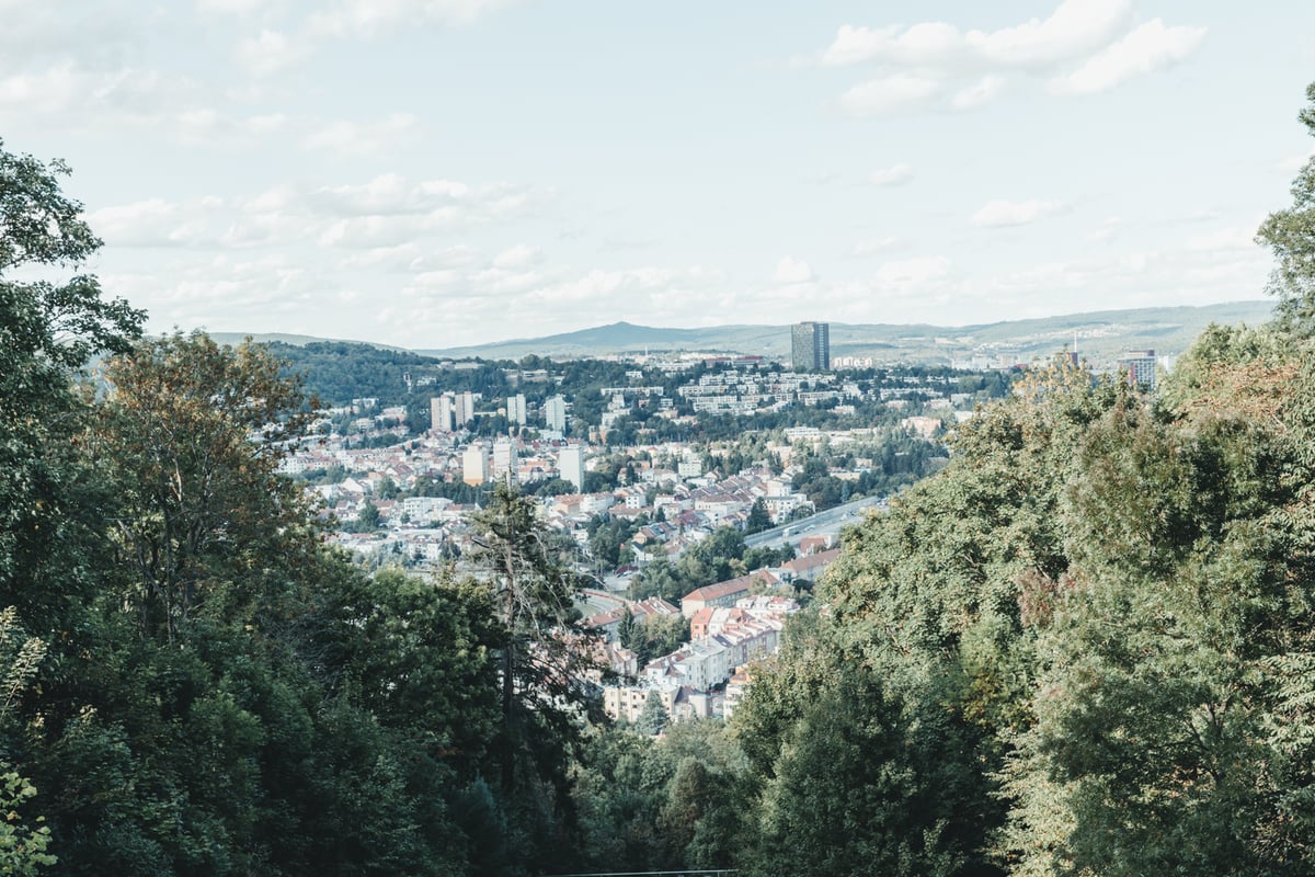 Vyhlídka Wilsonův les