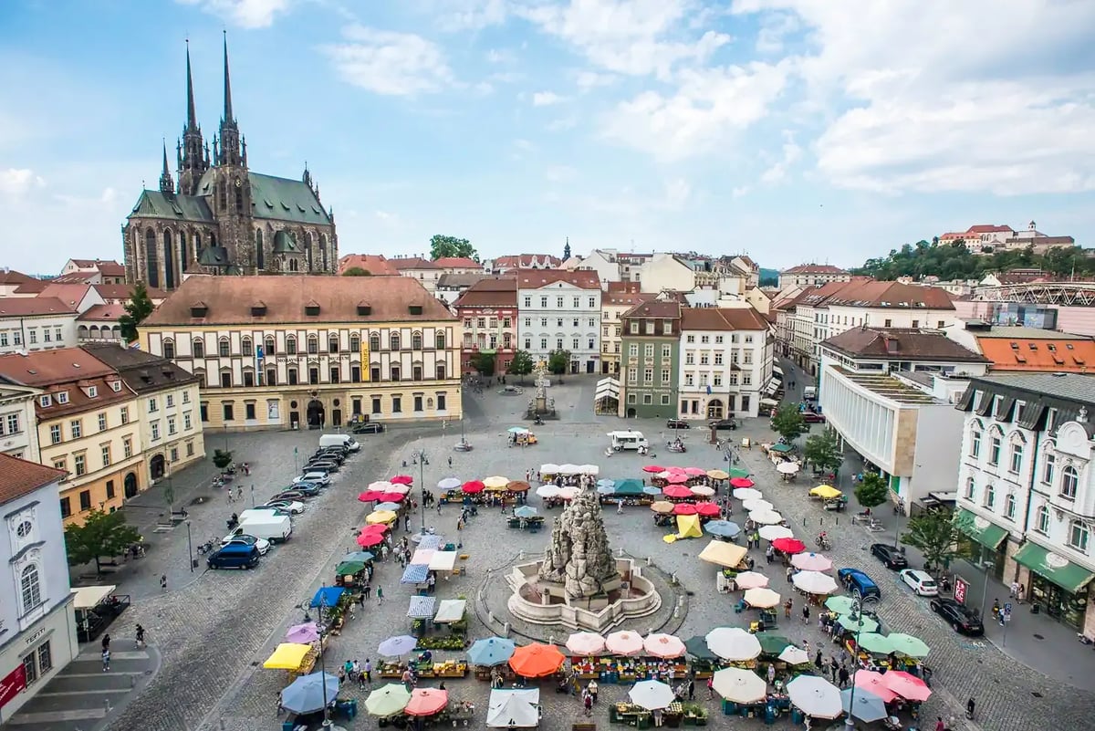 Zelný trh