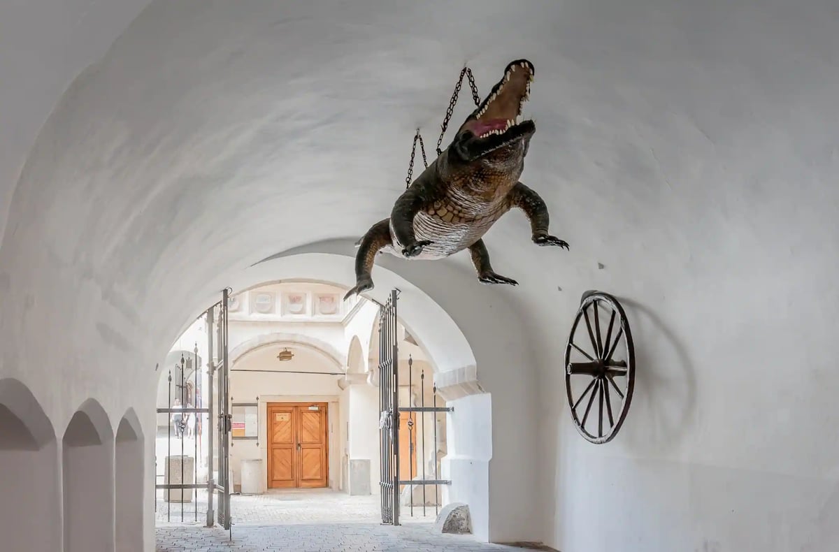 Brněnský drak