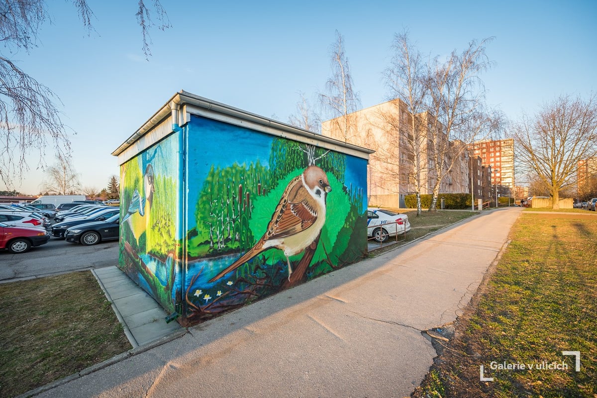 Ptačí divočina, Michal Čečil, 2020