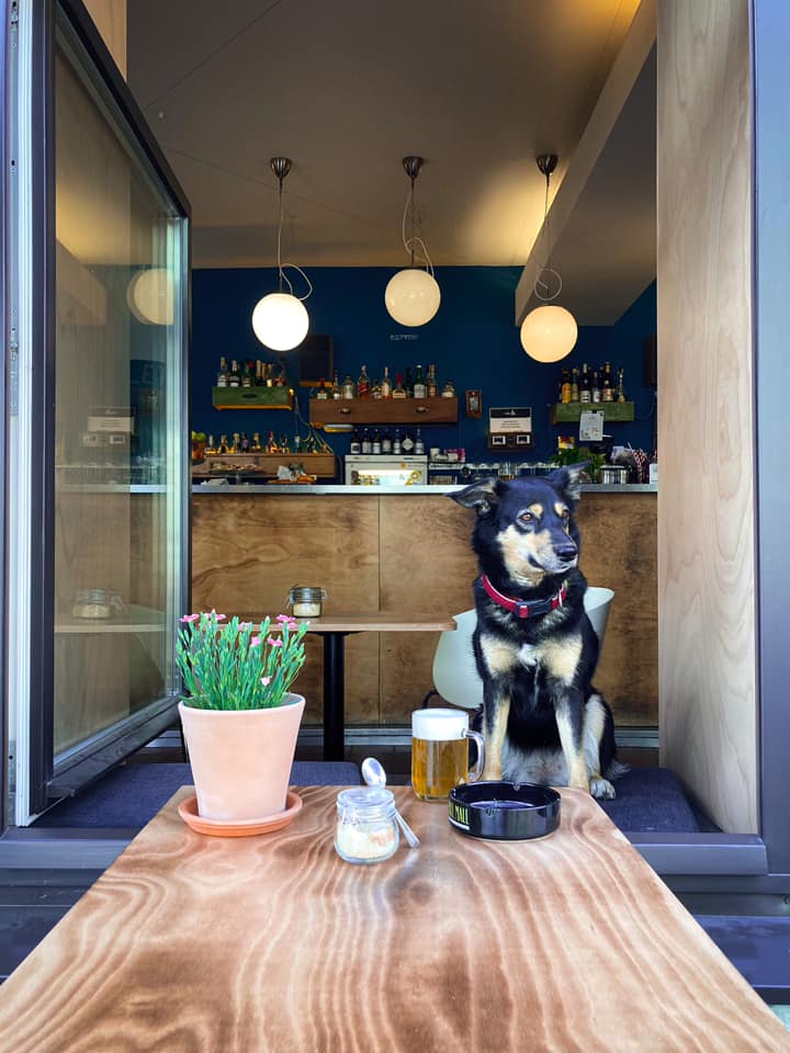 Pejsci jsou také vítáni v Café Mezzanie
