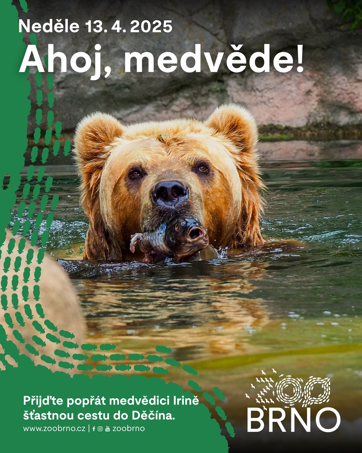 Plakát k akci loučení se s medvědicí Irinou