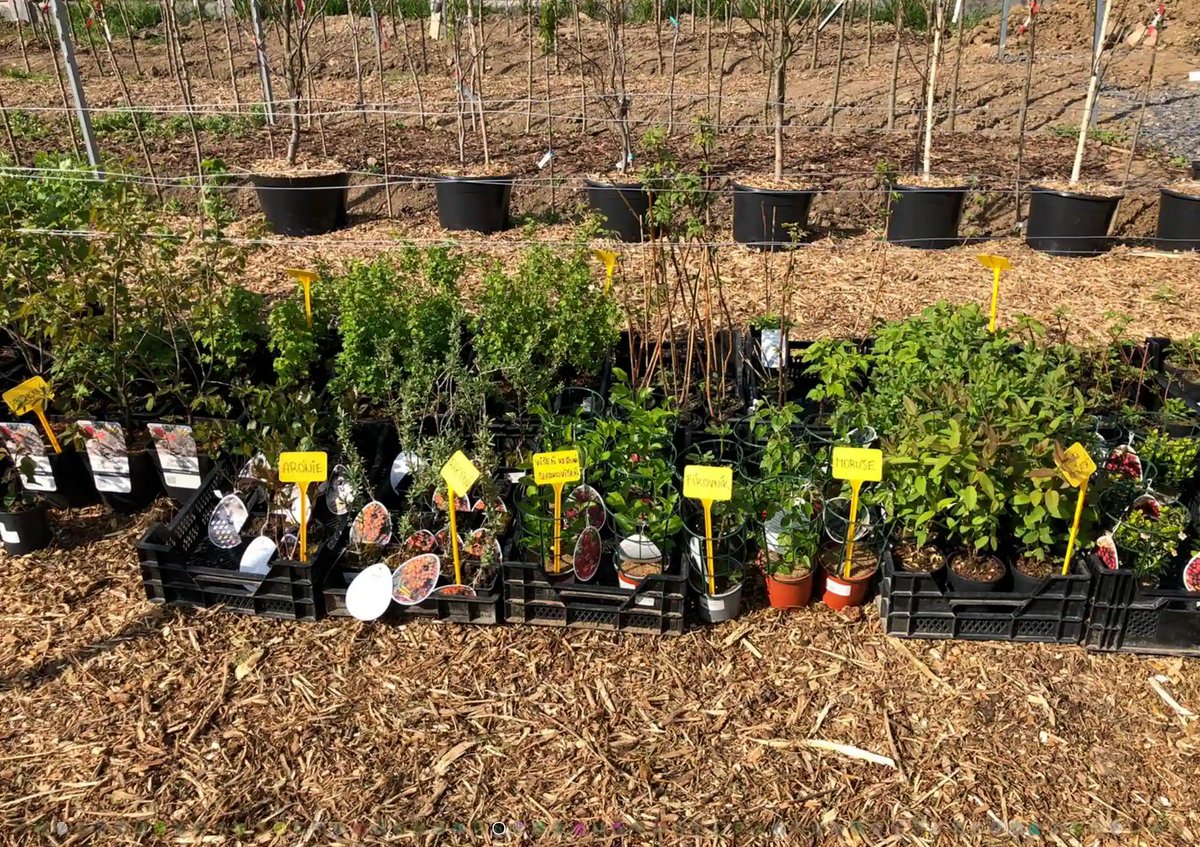 Zahradnictví Na Růžku