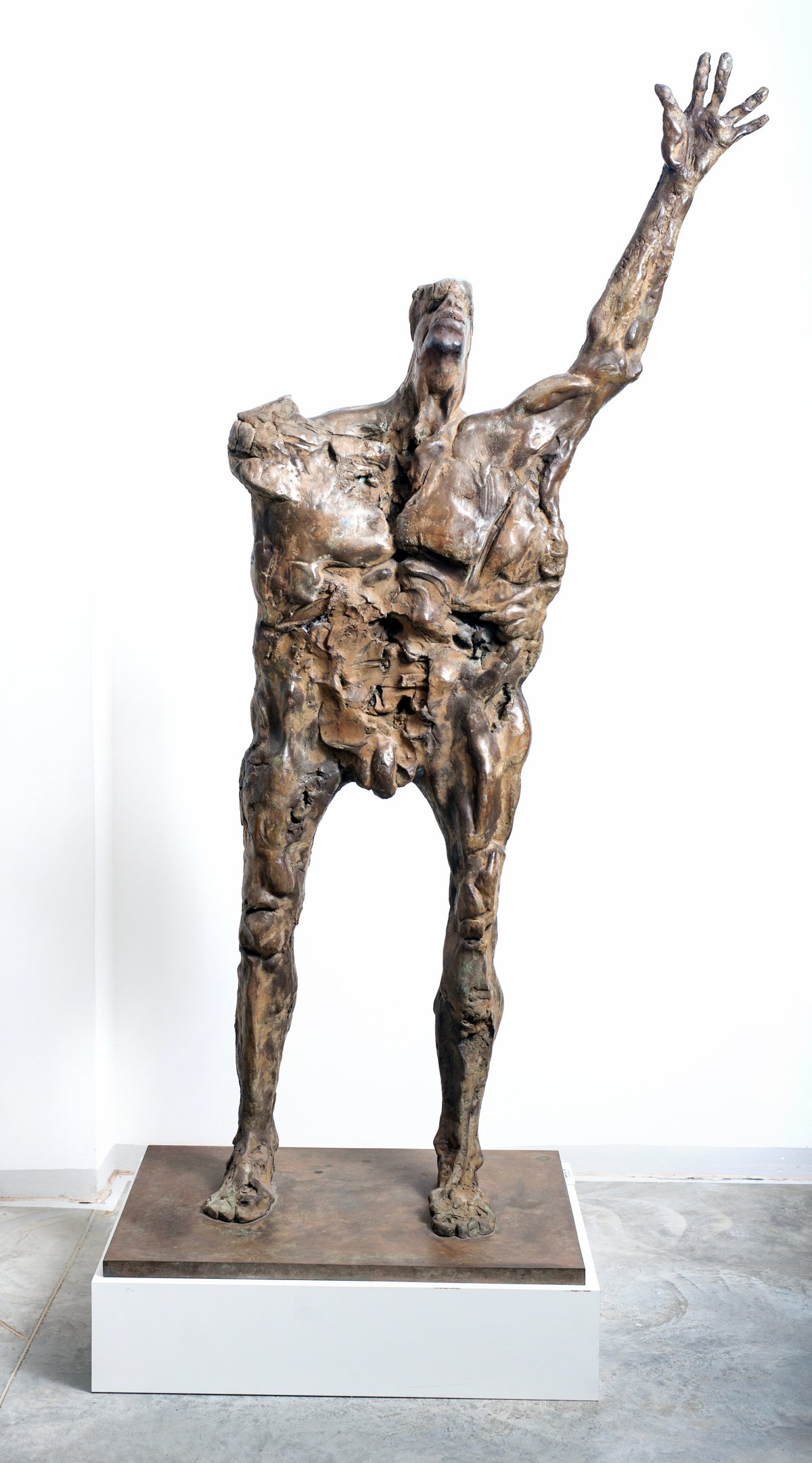 Frantovy obrazy, kresby, sochy a grafiky jsou součástí šedesáti významných veřejných sbírek po celém světě.