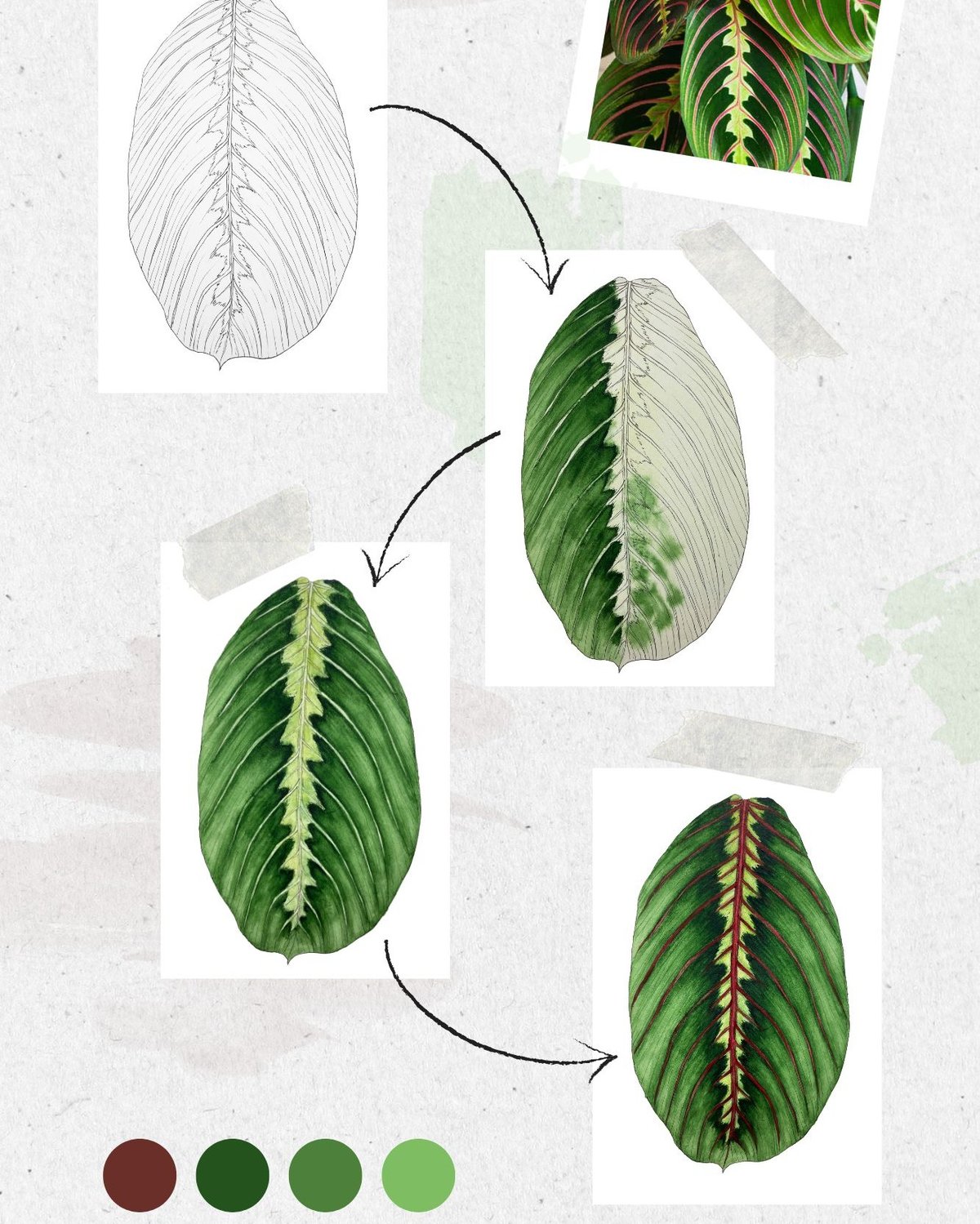 Krůček po krůčku