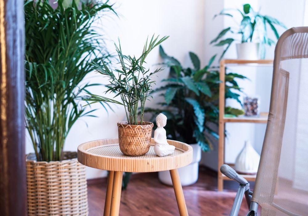 Odpočívárna, Lázně Rašínova