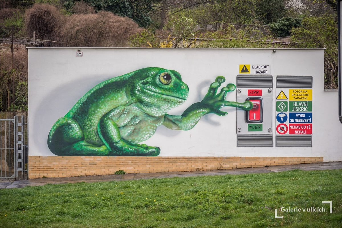 Pan Žabák, Lukáš Veselý, 2019