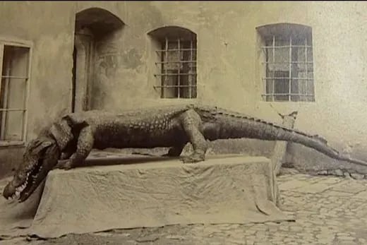 Brněnský drak na starých snímcích