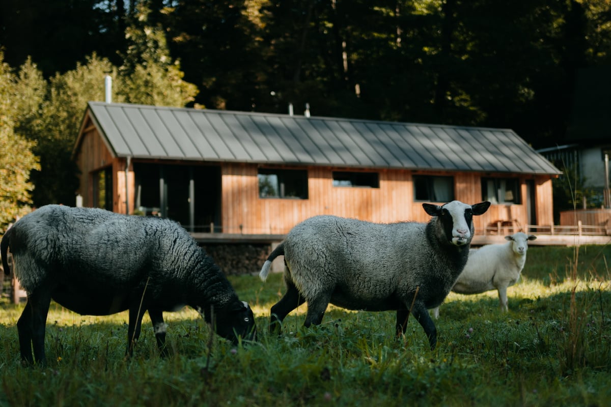 Největší Modřínek nabízí také saunu.