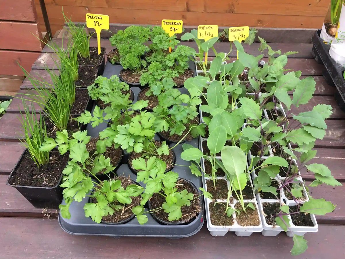 Zahradnictví Na Růžku